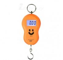 45Kg Digital Kitchen Weighing Scale / Luggage Hanging Weight Scale + Temperature